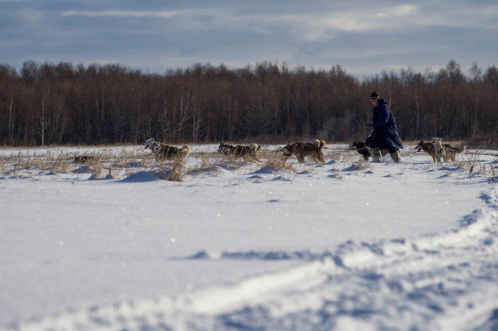 Фотография автора Ирина Копылова