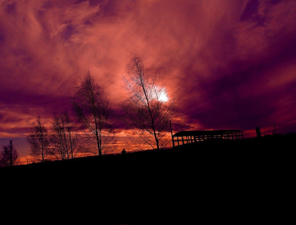 Photograph by Мария Королева