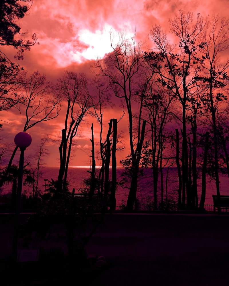 Photograph by Мария Королева