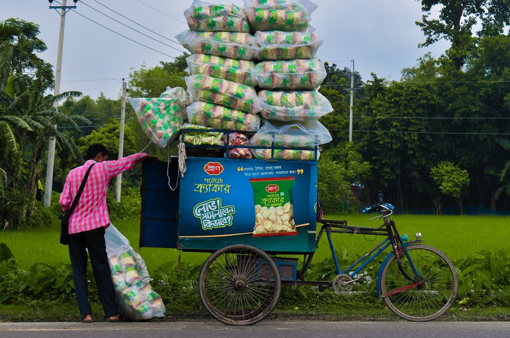 Фотография автора Mushfique Arefin