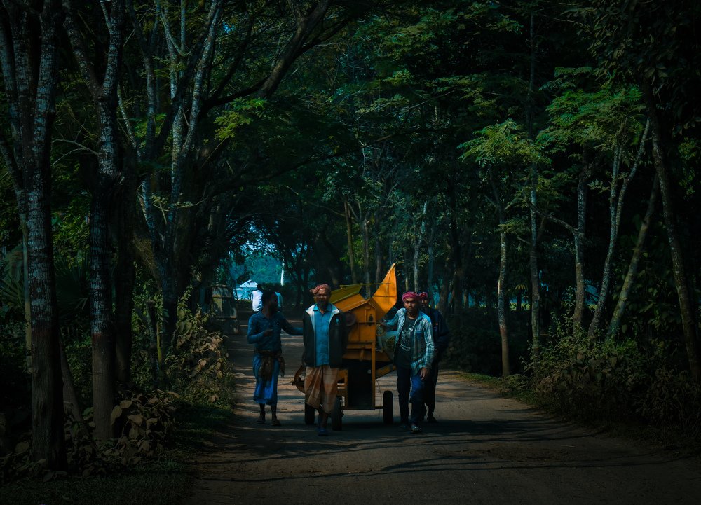 Фотография автора Mushfique Arefin