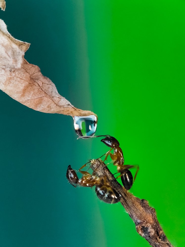 Photograph by royke kainde