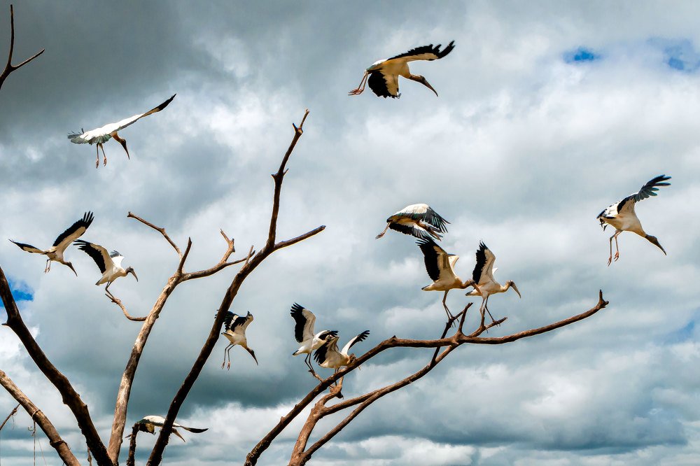 Photograph by HERIVALDO ALVES PEREIRA