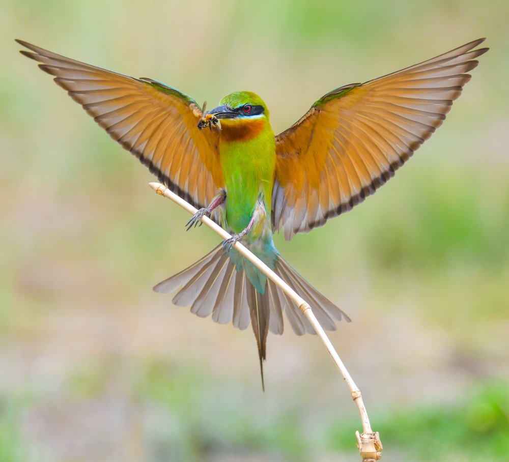 Photograph by son dam minh