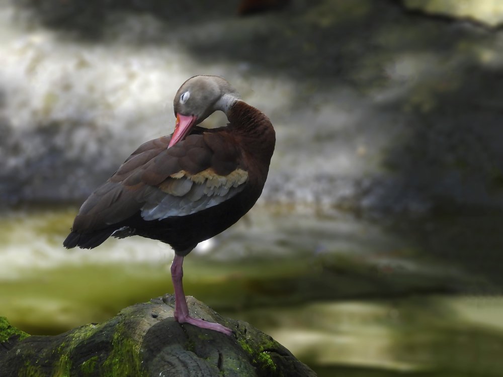 Photograph by Mario Campos Sandoval