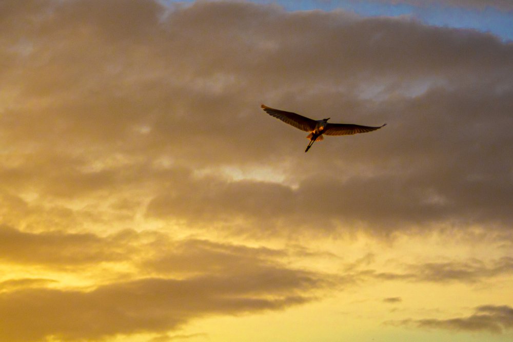 Photograph by SUJITH VARGHESE