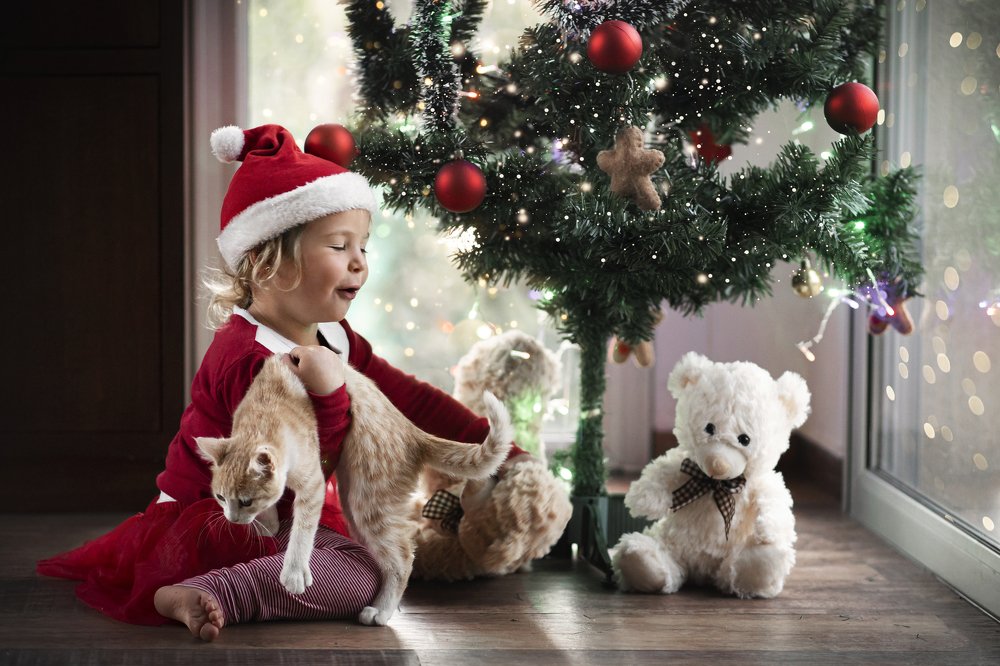 Photograph by Romi Bustelo