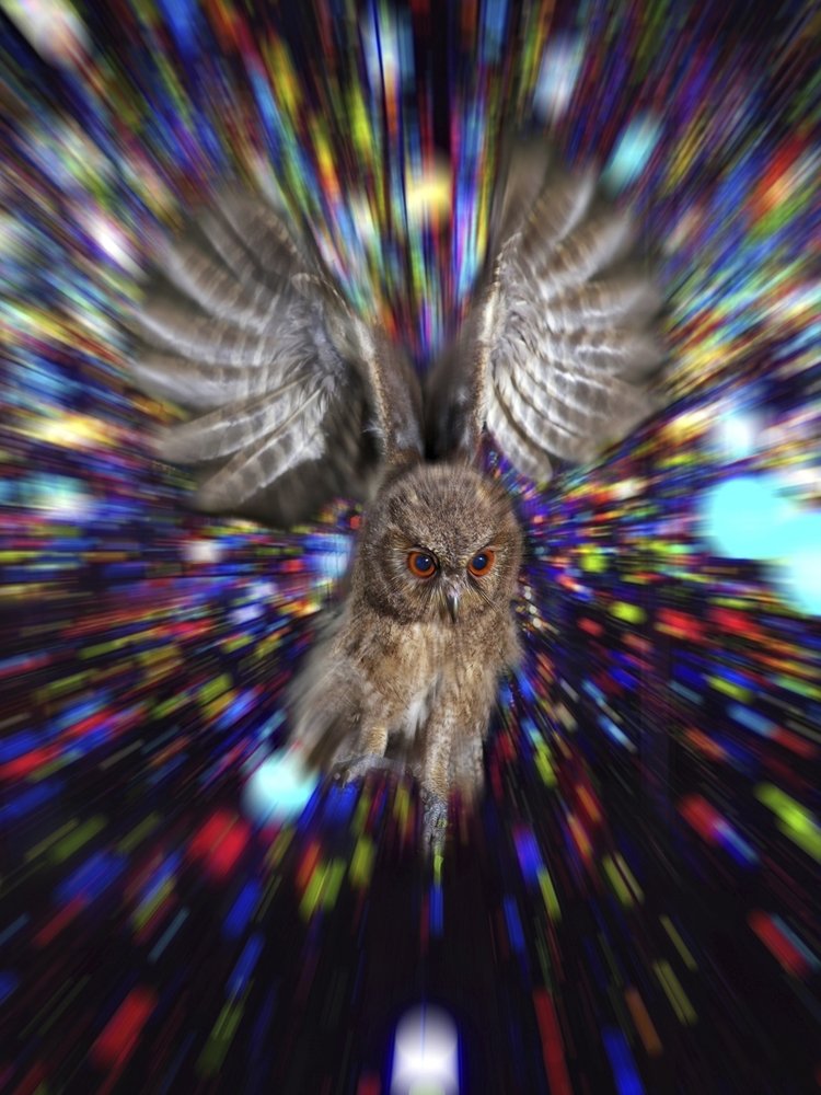 Photograph by Irawan Subingar