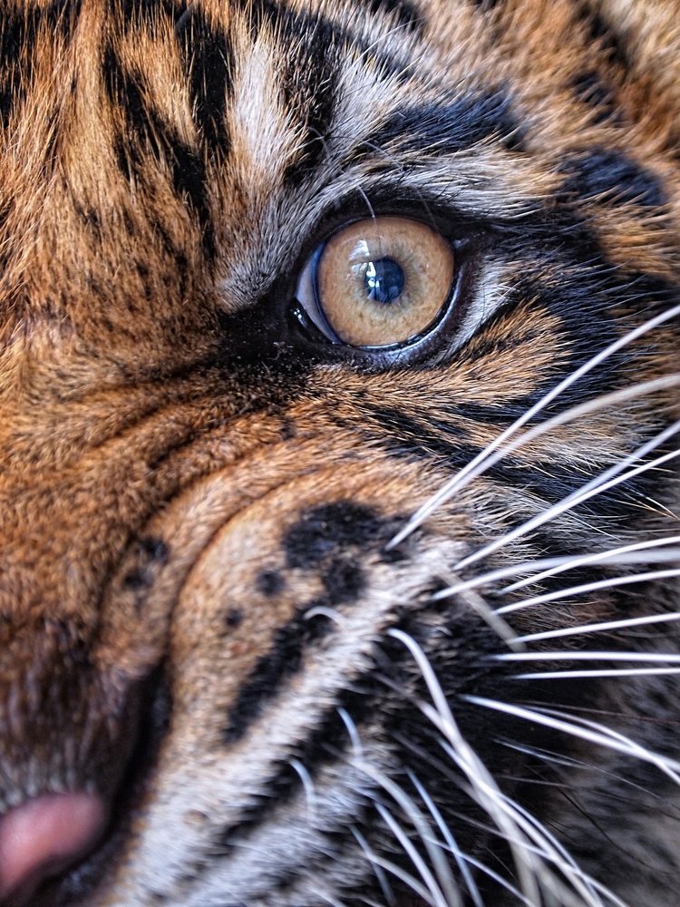 Photograph by Irawan Subingar