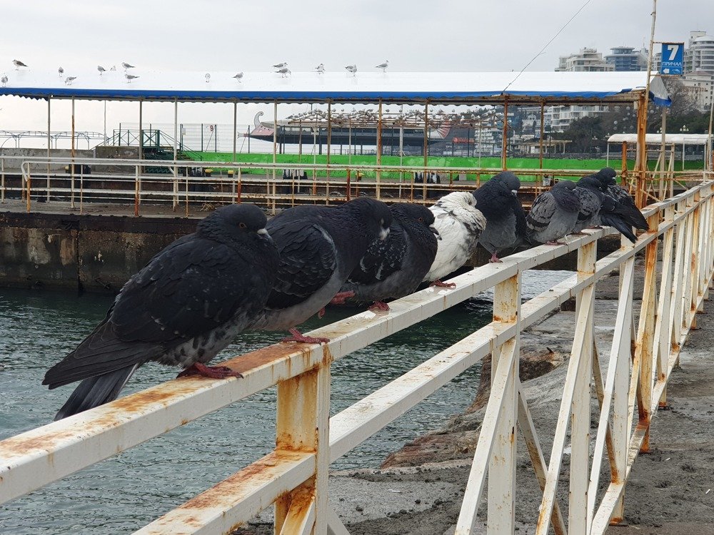 Photograph by mikhail goryachev