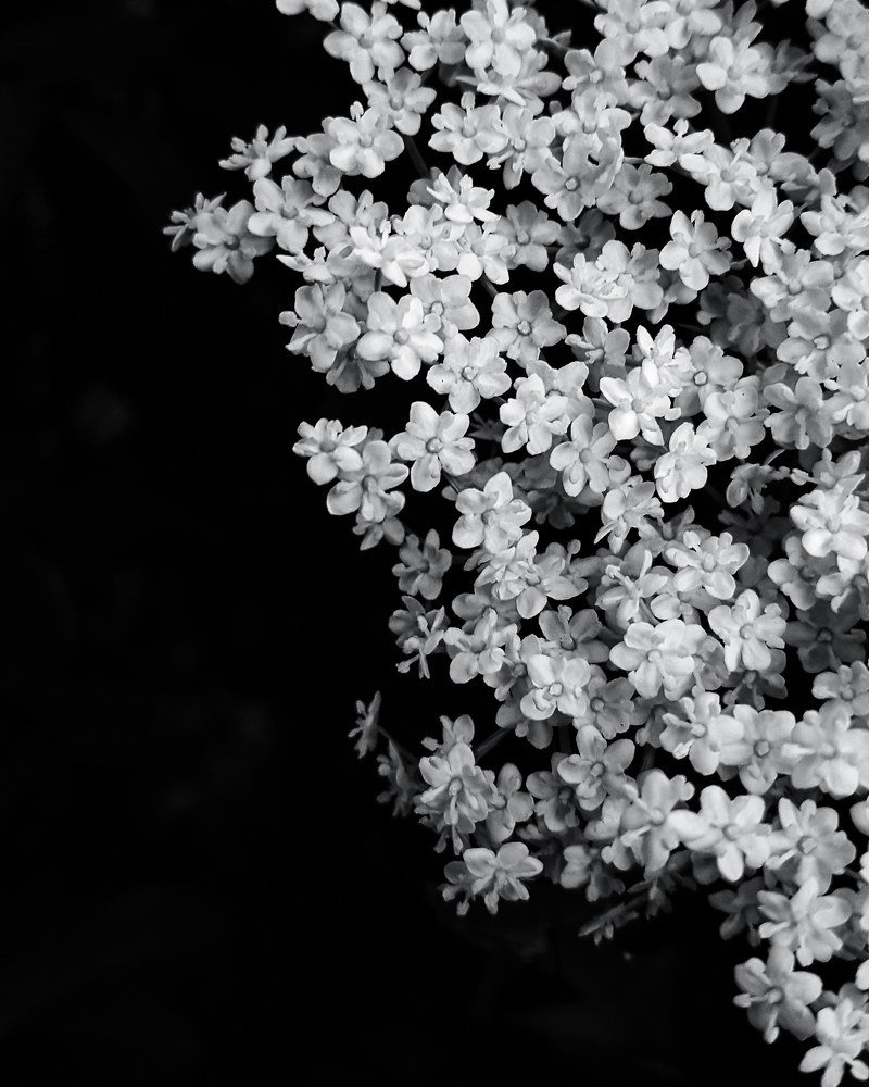 Photograph by Хачик Аджатян