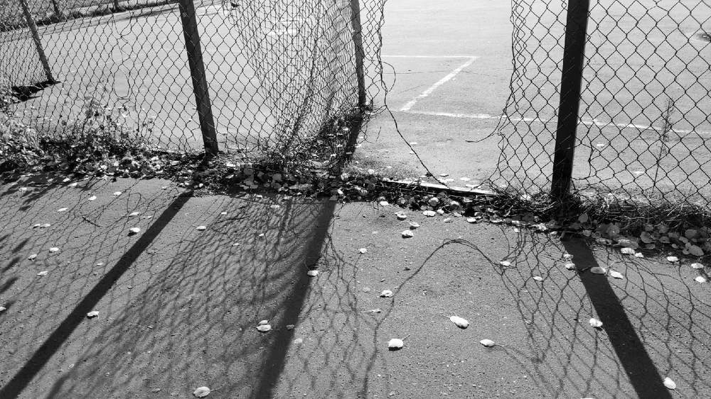 Photograph by Наталья Кулемина