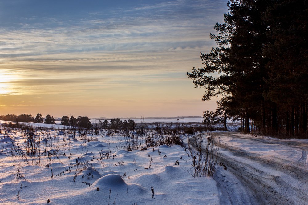 Фотография автора Дмитрий Мясников