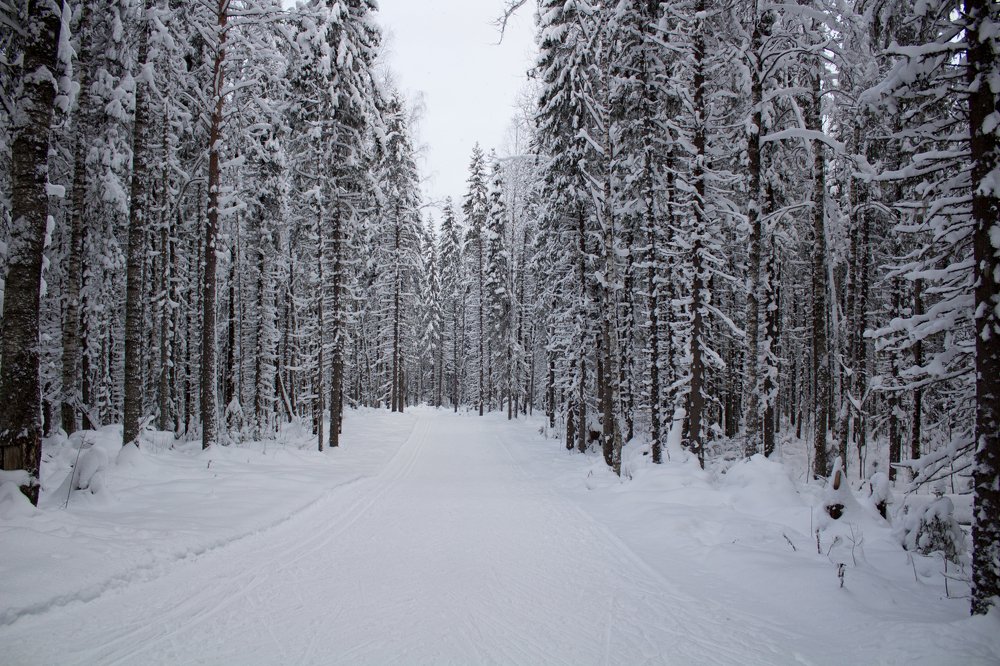 Photograph by Анастасия Кинева