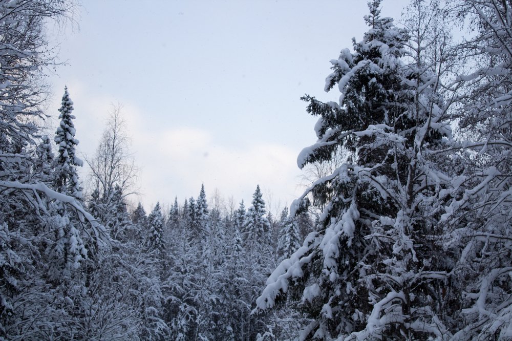 Photograph by Анастасия Кинева