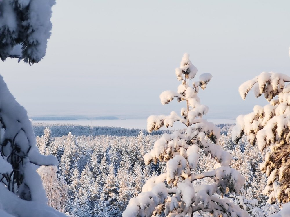 Photograph by Алексей Михайлов