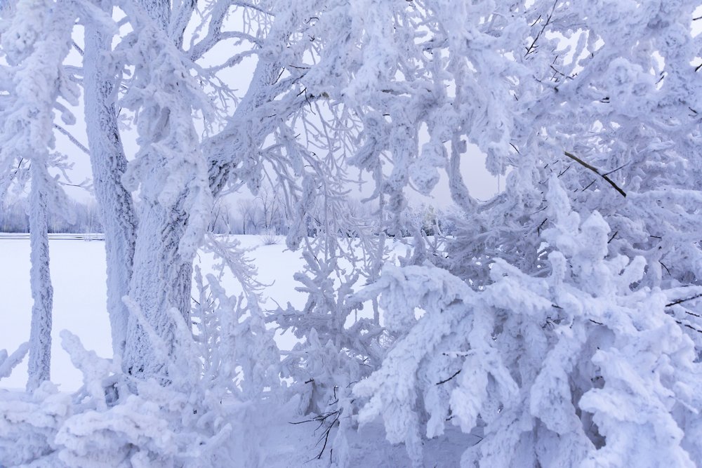 Проделки деда Мороза.