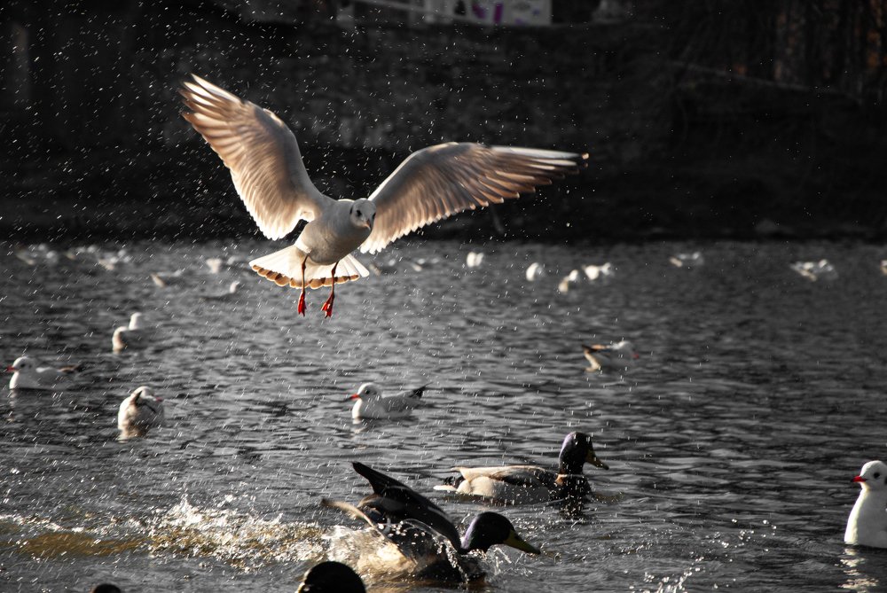 Photograph by Anastasiia Mietielieva