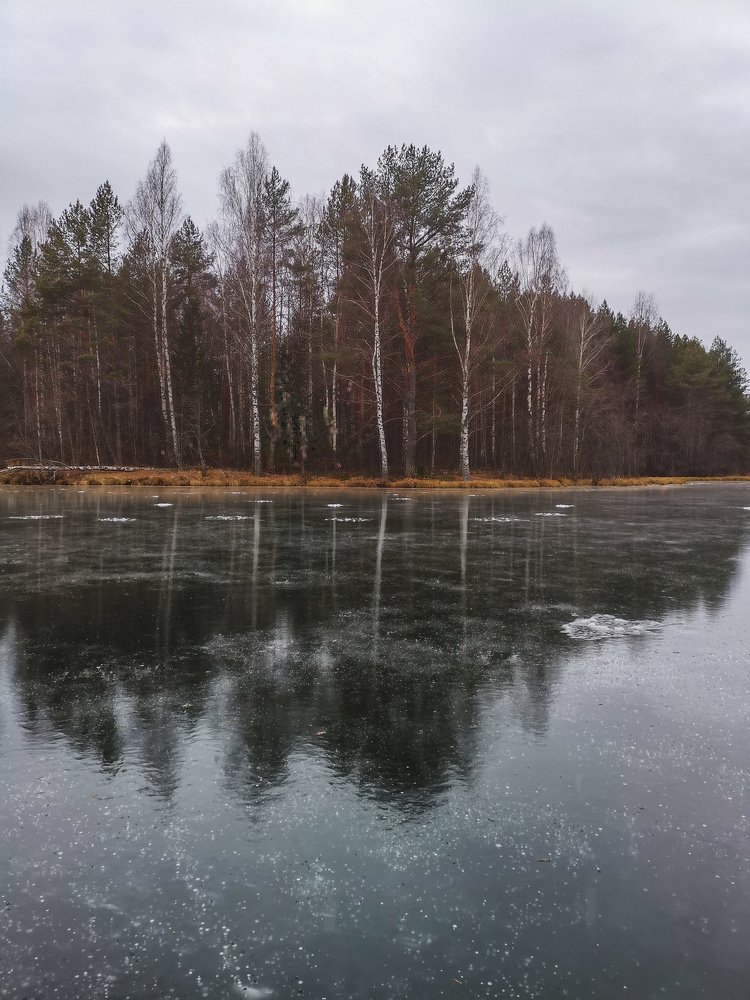 Photograph by Юлия Куделько