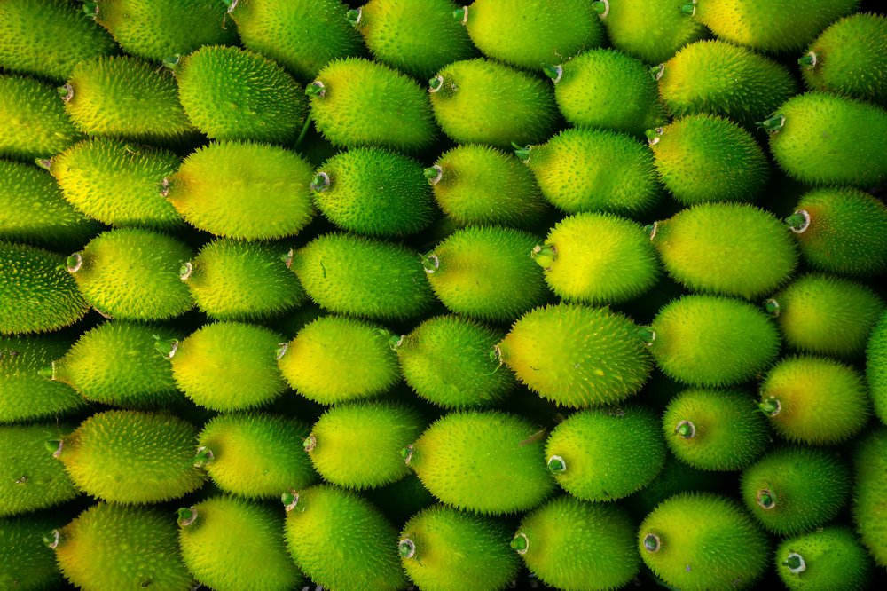 Photograph by Jahangir Alam Onuchcha