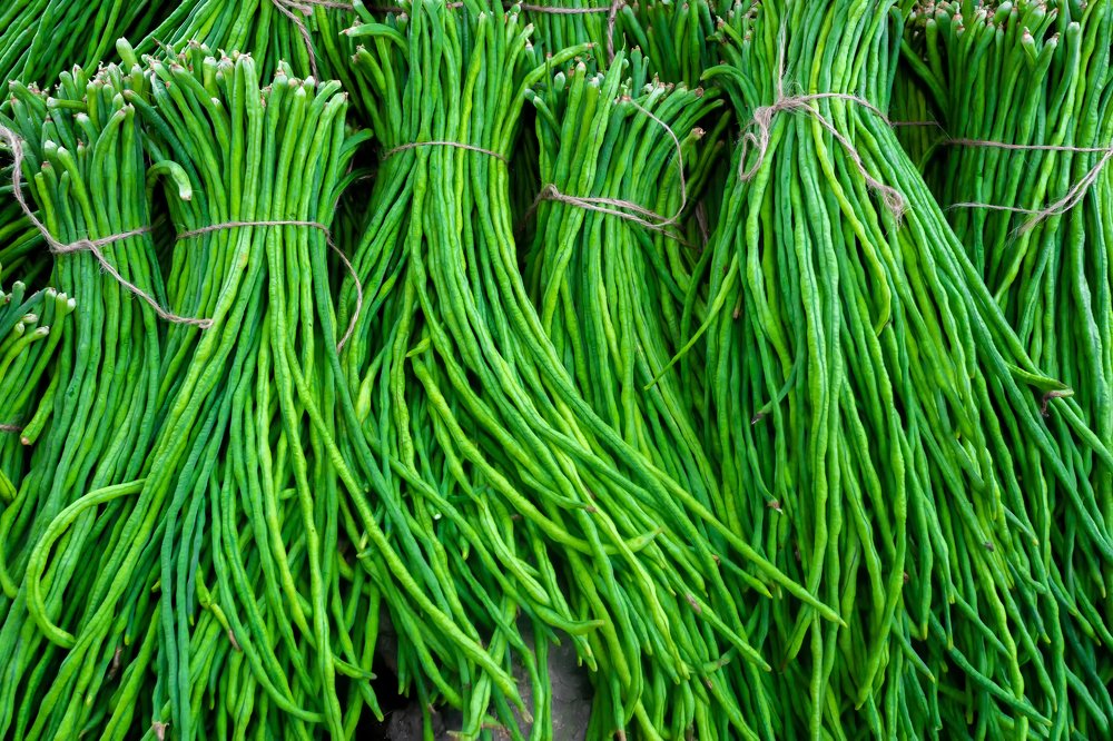 Photograph by Jahangir Alam Onuchcha