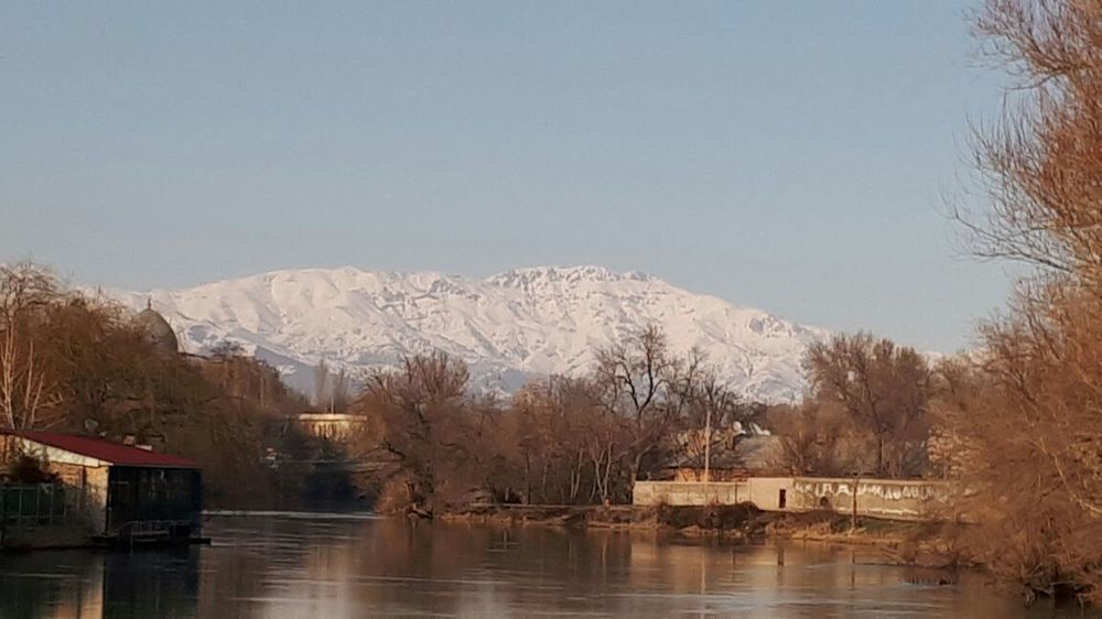 Чирчик зимой