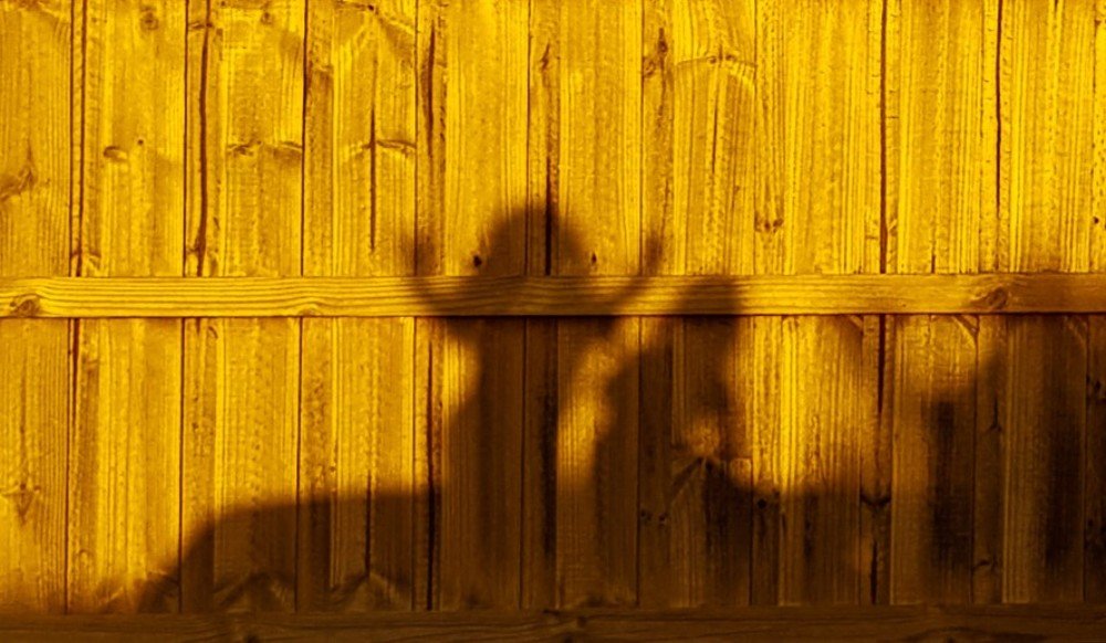 Photograph by Anirudh Koppula