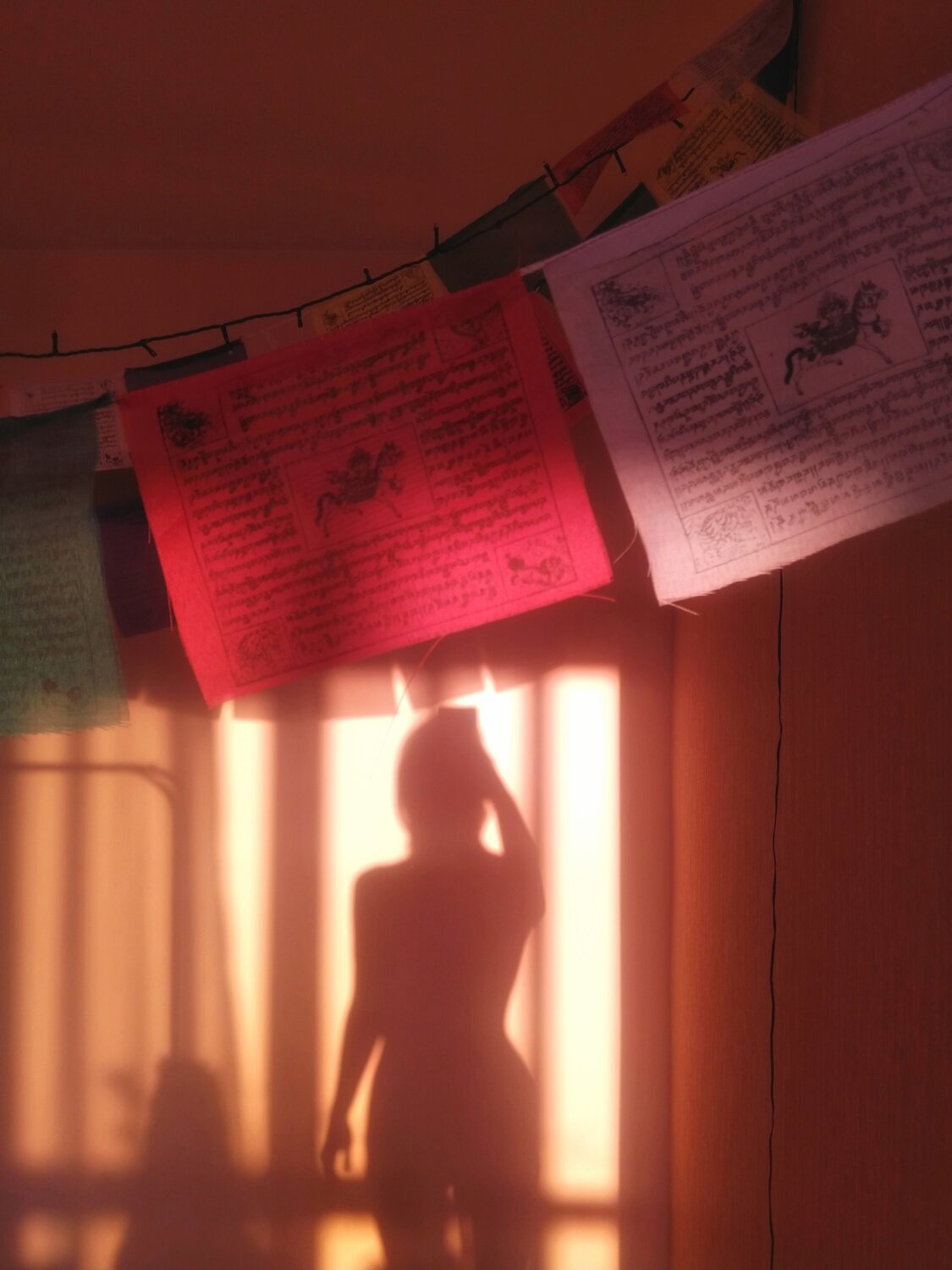 Photo #5533589