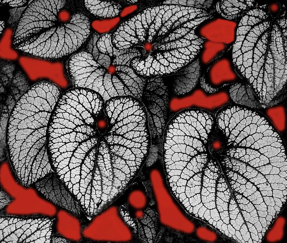 Photograph by Александра Климина