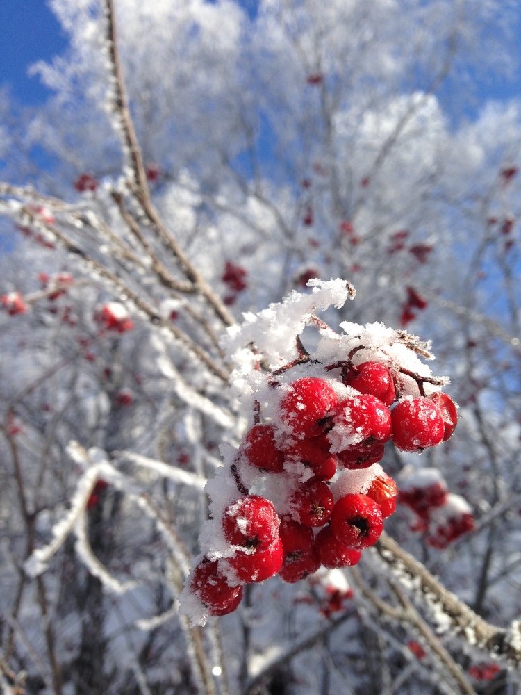Photograph by Алексей Садовщиков