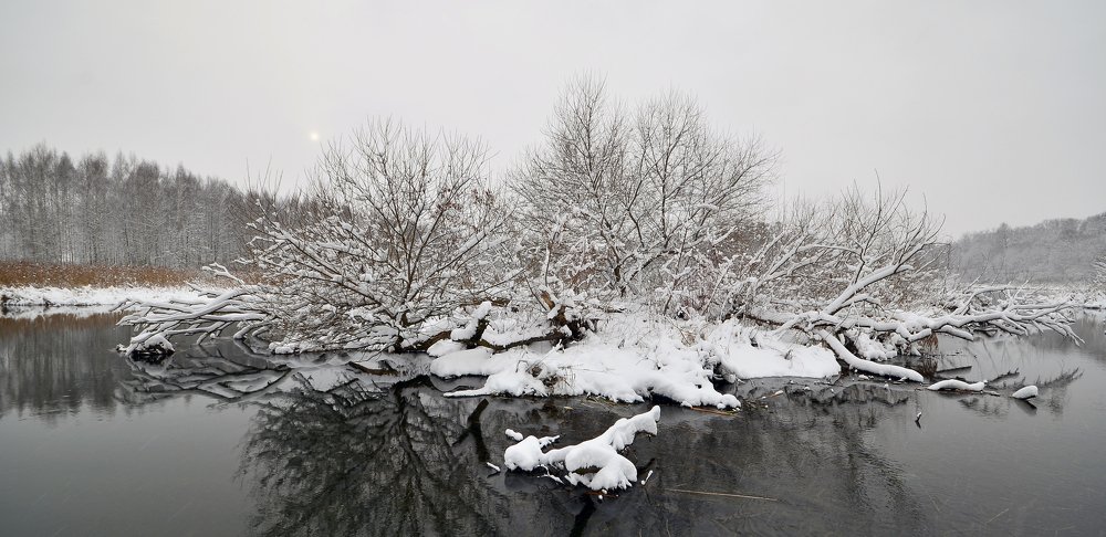 Фотография автора Антип