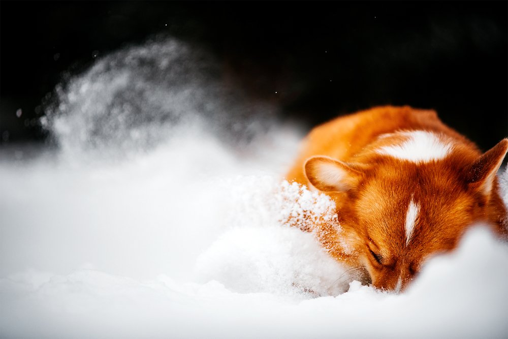 Photograph by Анастасия Пикей