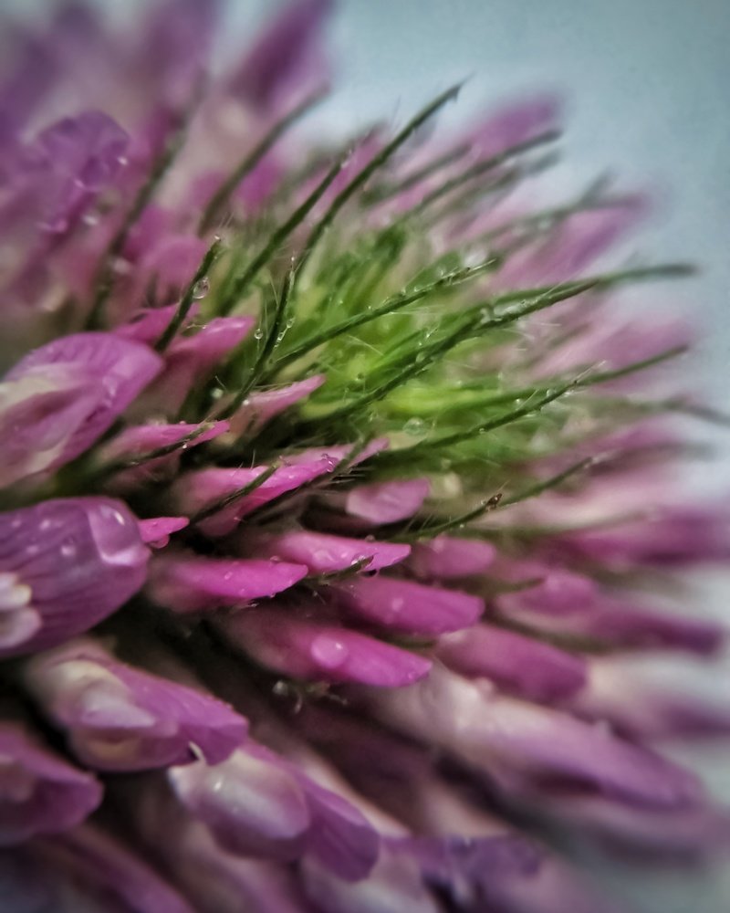 Photograph by Алексей Копылов