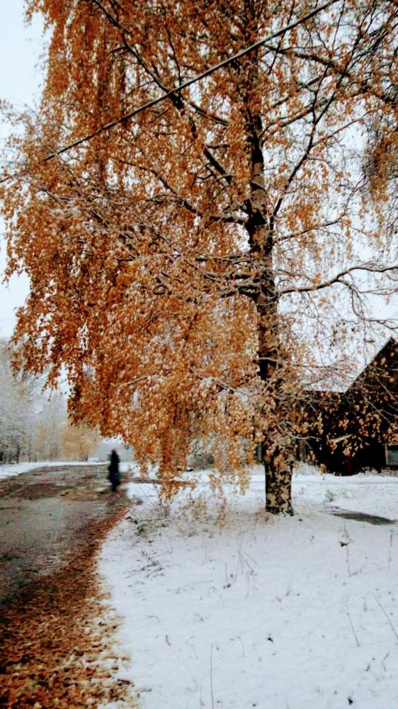 Photograph by Оксана Фурс