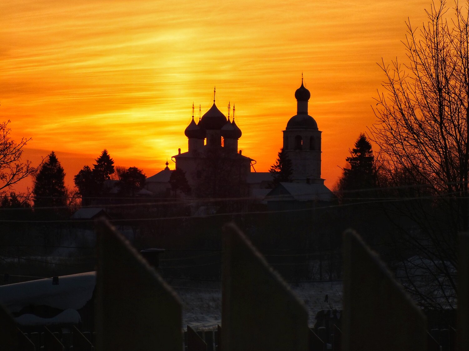Photo #5533955