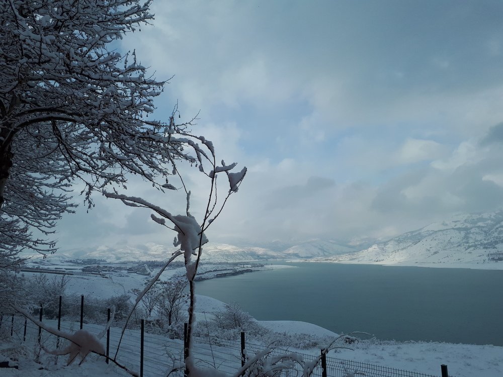 Photograph by Ксения Рыжкова