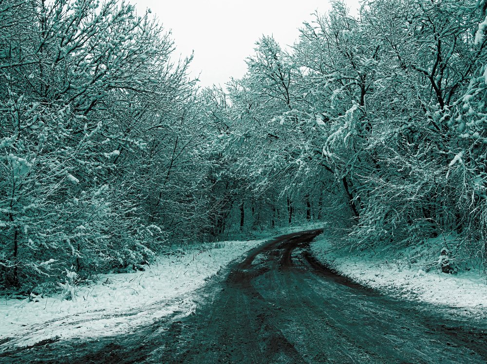 Photograph by Муза Латинская