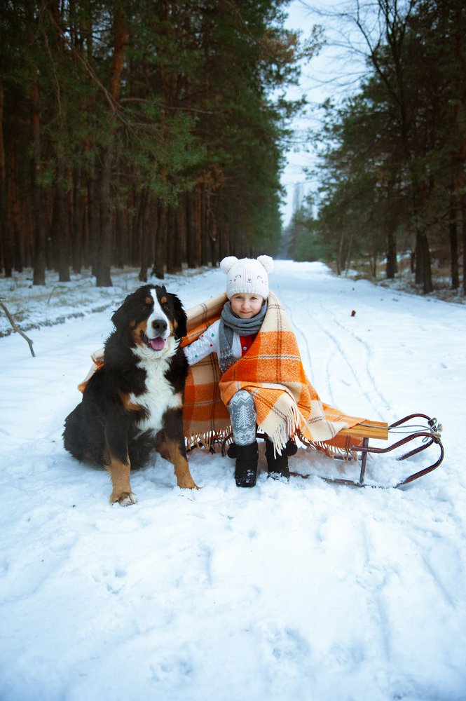 Фотография автора Анастасия Ганзера
