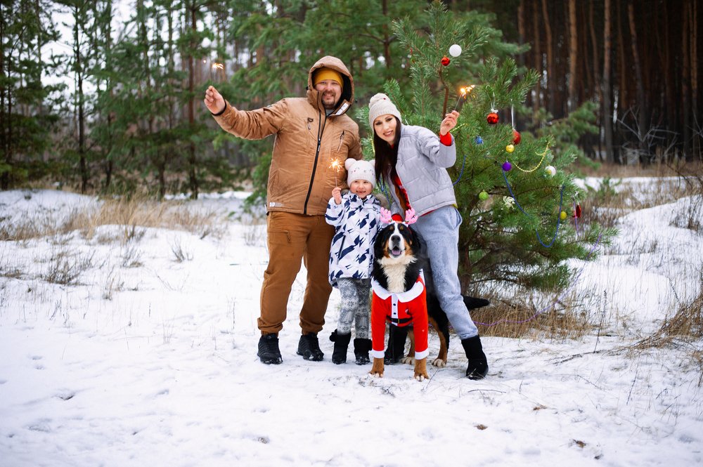 Фотография автора Анастасия Ганзера
