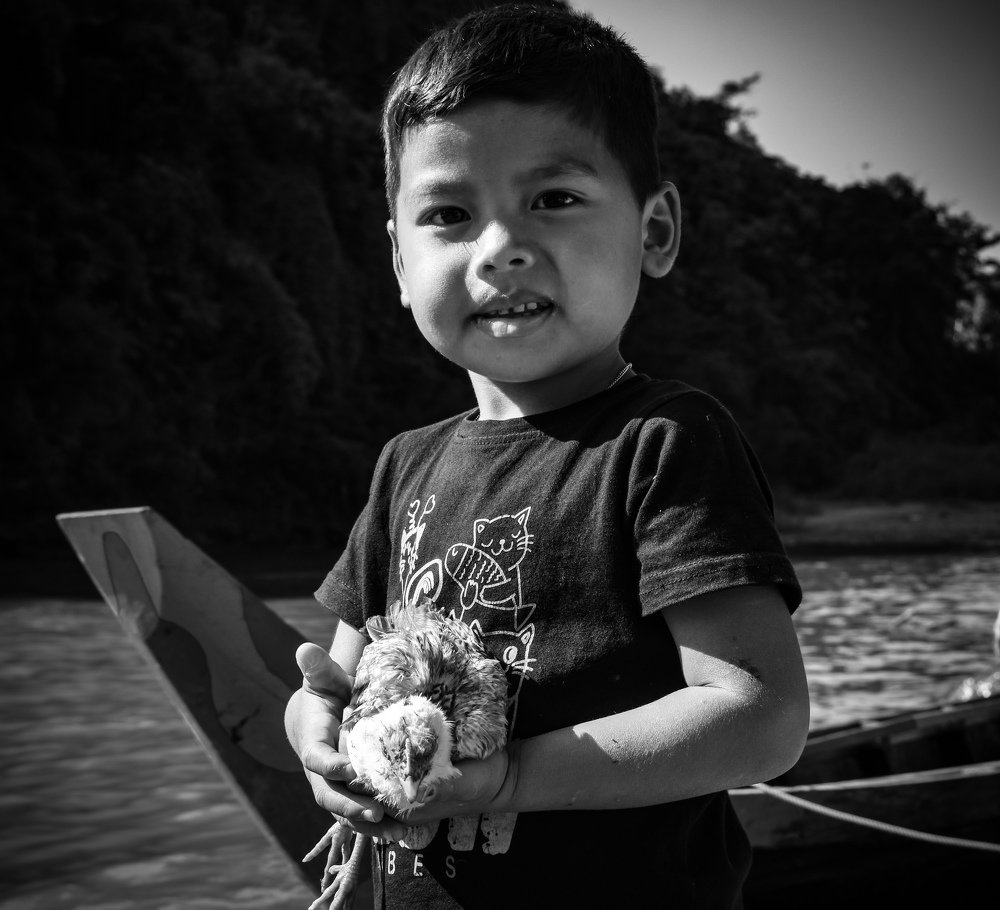 Фотография автора Mushfique Arefin