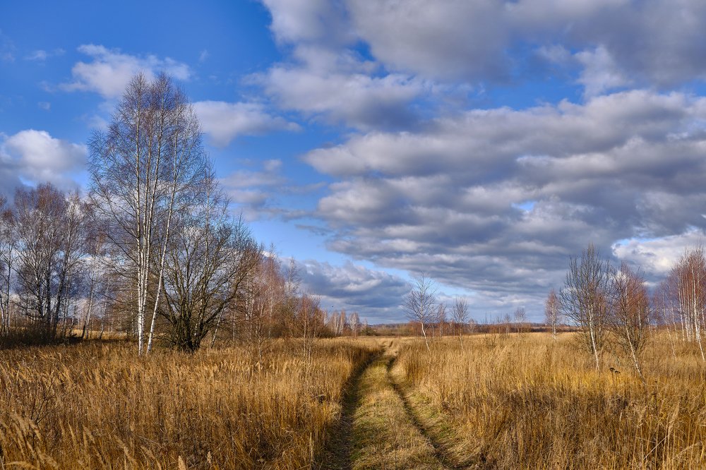 Photograph by Василий Арлашов