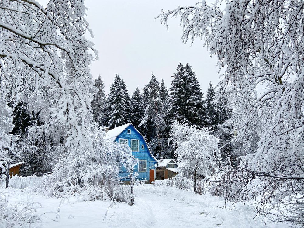 Photograph by Александра Морозова