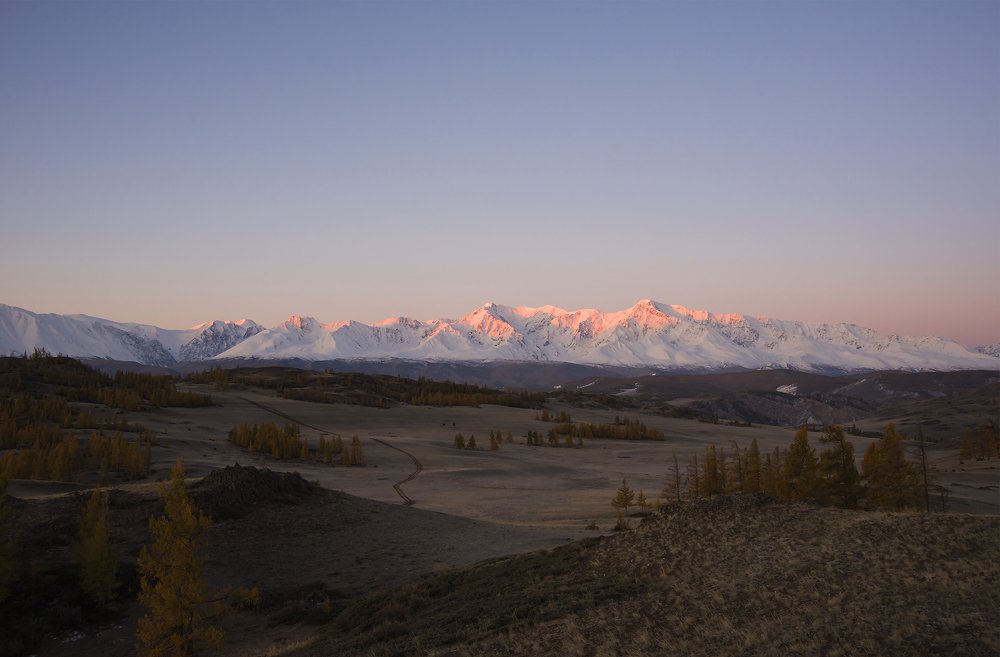 В Курайской степи.