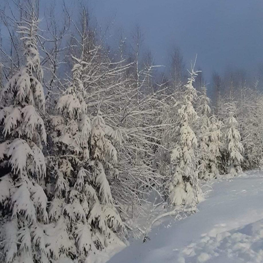 Photograph by Любовь Онщенко