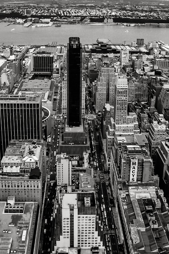 Photo #5534562