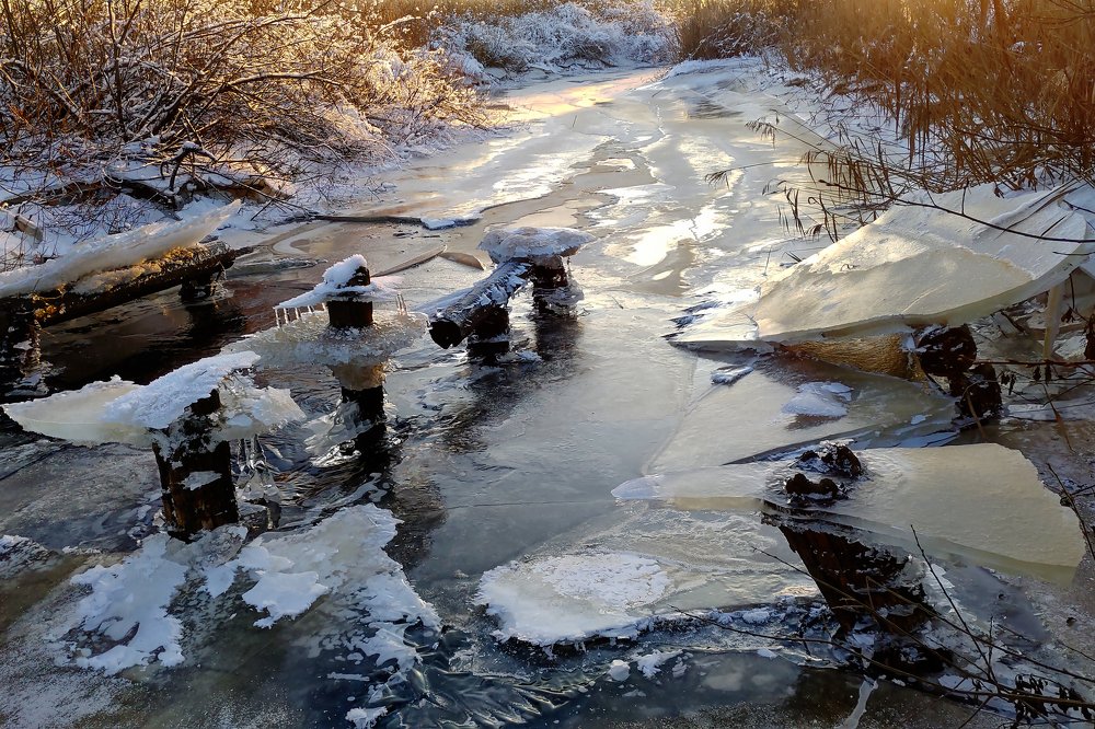 Photograph by Irina Galkina