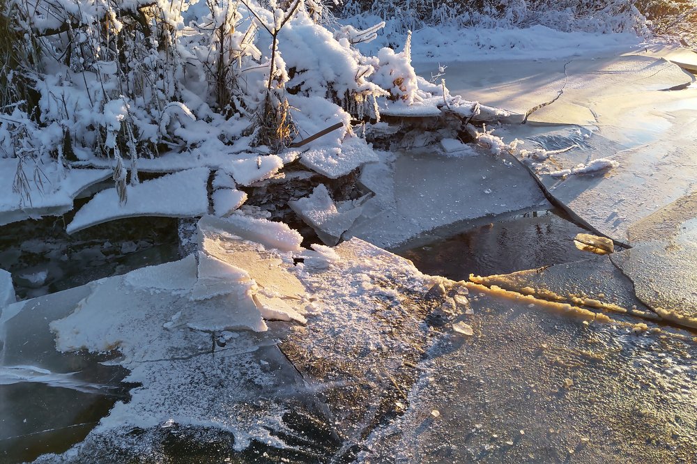 Photograph by Irina Galkina