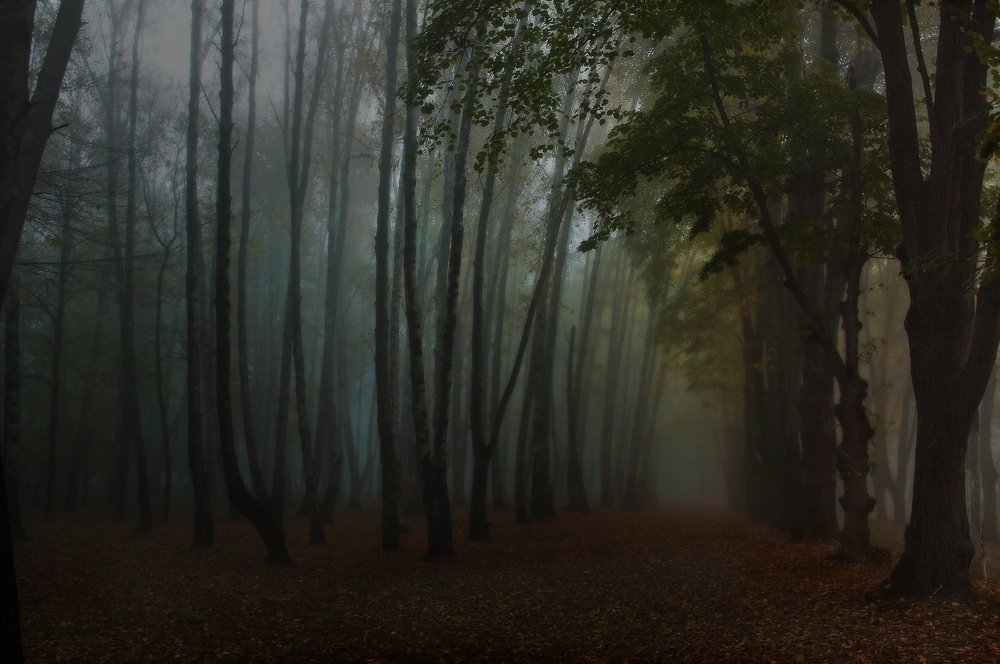 Photograph by Анастасия