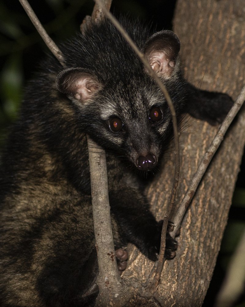 Фотография автора Mukul Mukherjee