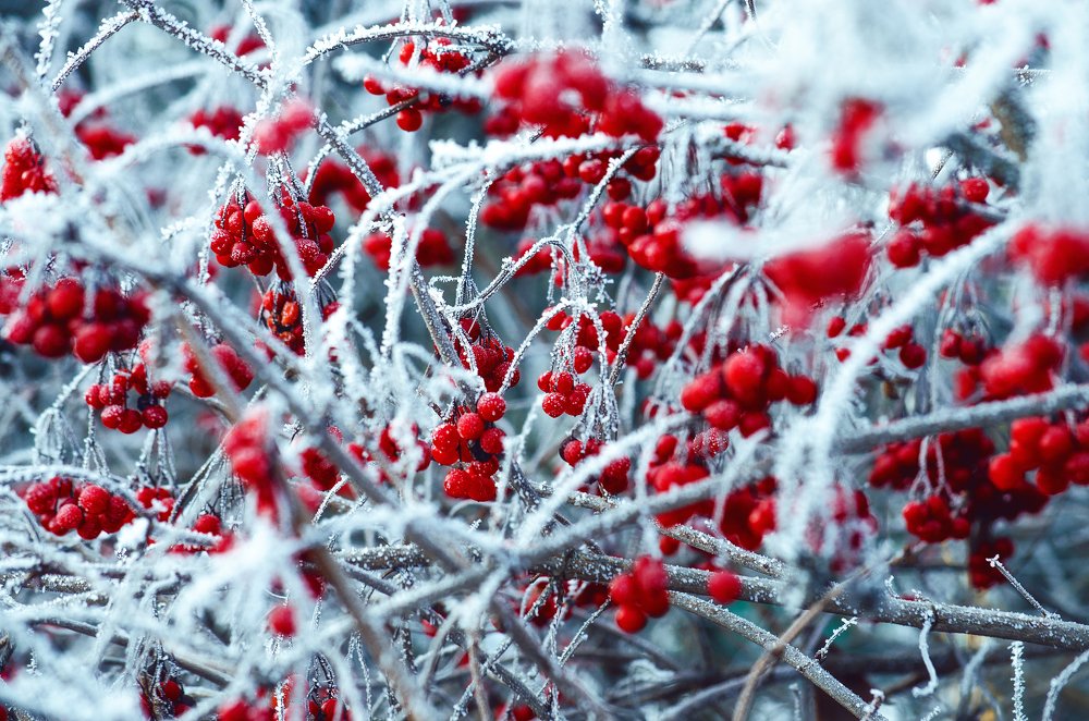 Photograph by Наталья Золотарева